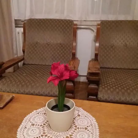 Dori's House